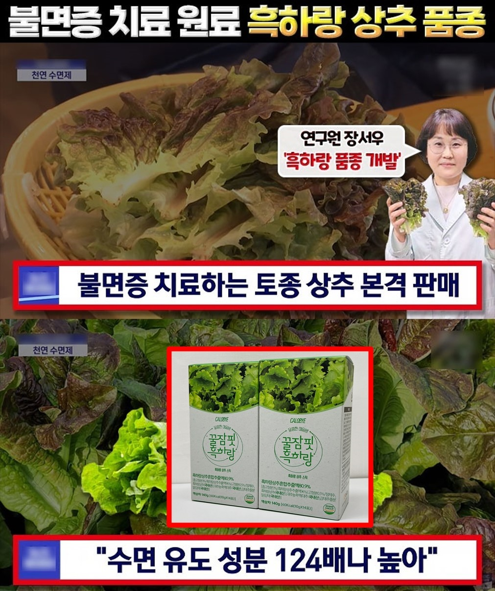 만성 불면증해결 꿀잠핏 흑하랑 10g * 14포