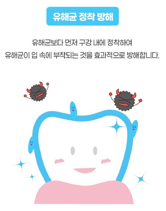 상품코드 : NY007 로보카폴리 덴티자일리톨 특허 구강유산균 2g 200정