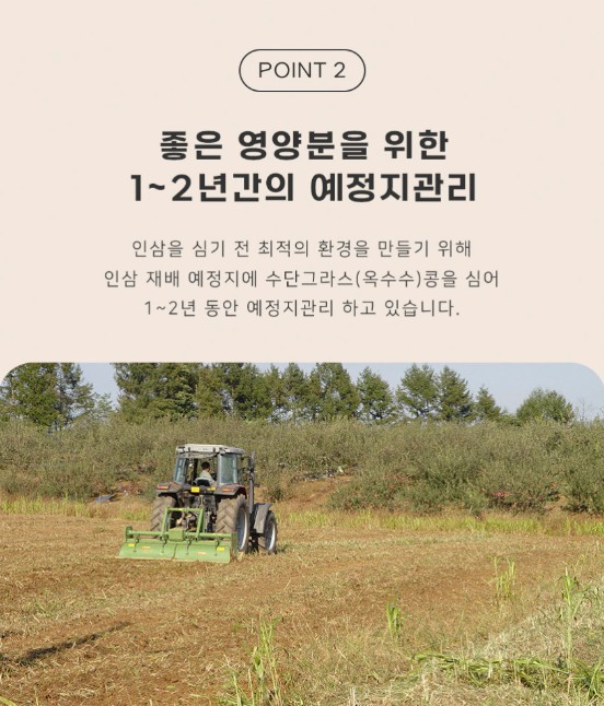 상품코드 : KJH006 [김정환홍삼] 홍삼 더플러스 20포 (보자기 포장)