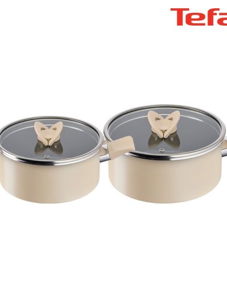[테팔] 팬&냄비 인덕션 블라썸 베이지 2종세트 (양수냄비 20cm + 전골냄비 24cm)