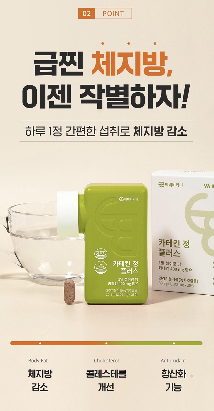 카테킨 정 플러스 1100mgX28정