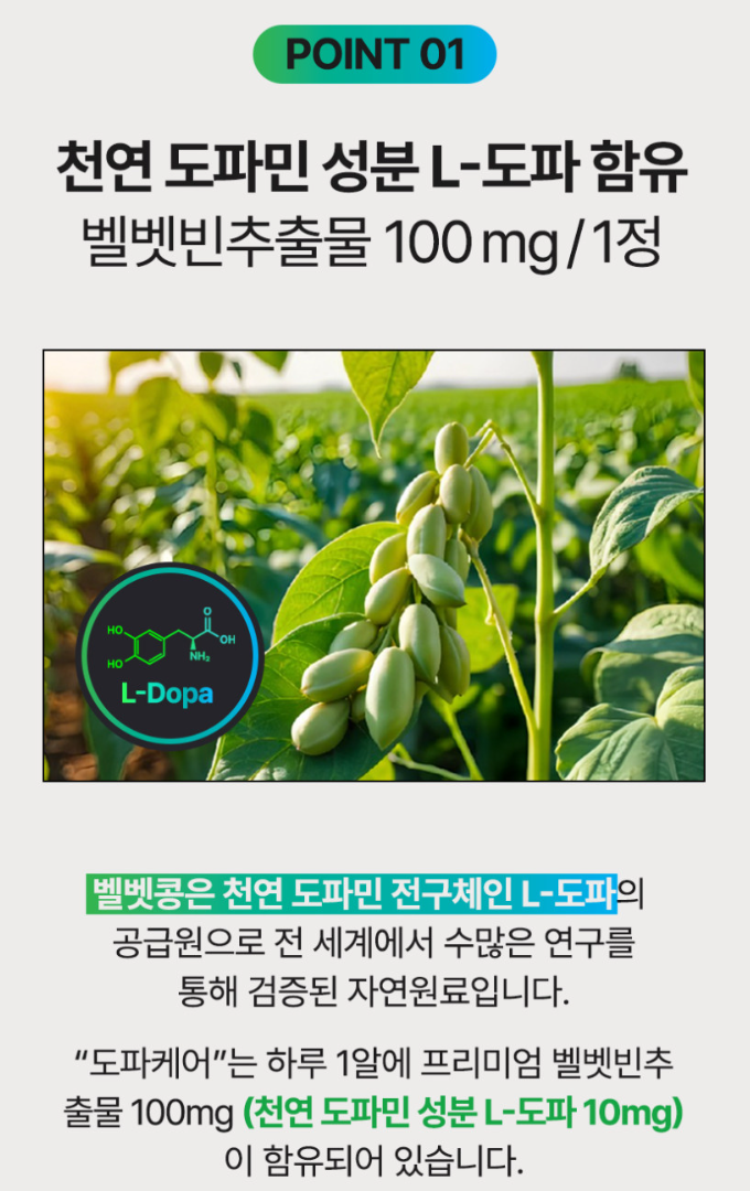 집중력 도파민 영양제 도파케어 30정(1개월분)