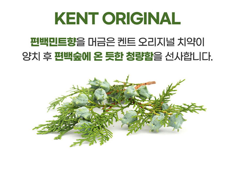 상품코드 : WC025 켄트 치약2개+여행용키트(치약2+칫솔)