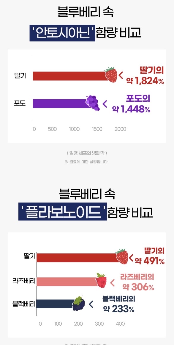 시너지엔 블루베리 퓨레 100