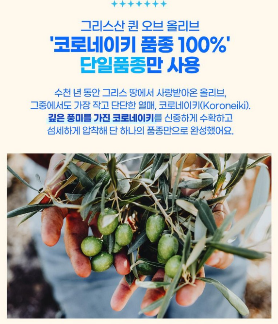 상품코드 : BBZ002 크레타 유기농 엑스트라버진 올리브오일 (14포)