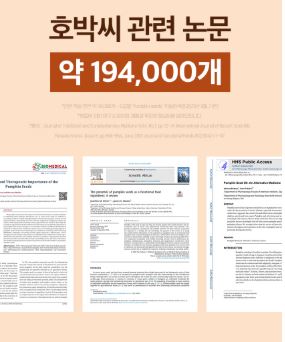 비타민마을 요고요 호박씨추출물 600mg X 60정 (2개월분)