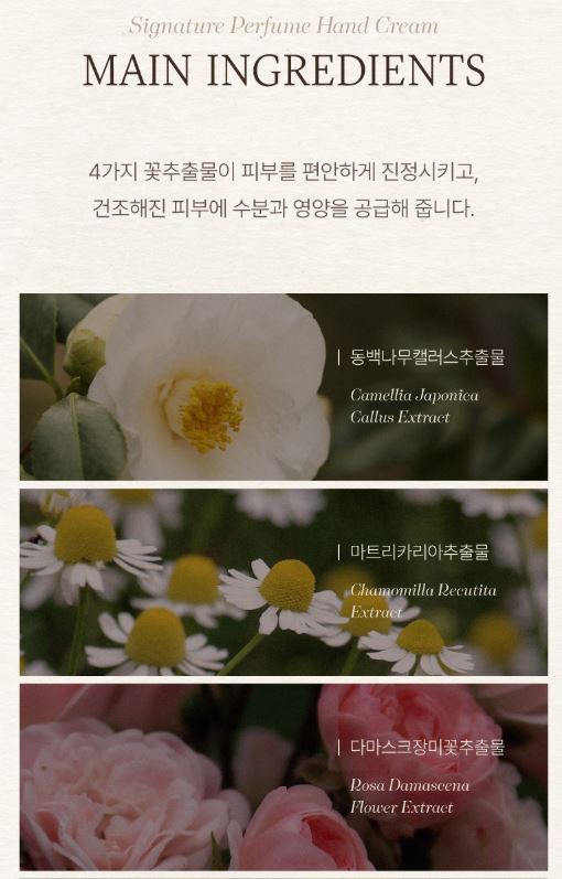 폴메디슨 시그니처 퍼퓸 핸드크림 70ml