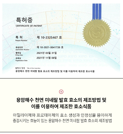 상품코드 : GLB0135 해표 카놀라유 2p (500ml)