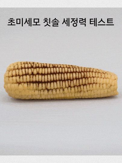 생활공작소 초미세모 칫솔 12ea
