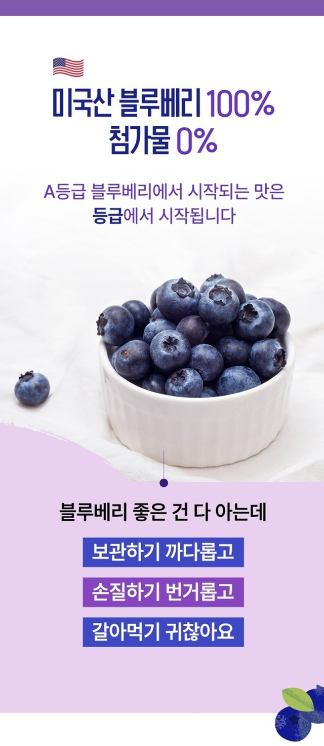 네세서리 블루베리퓨레 100 (20g*14포)
