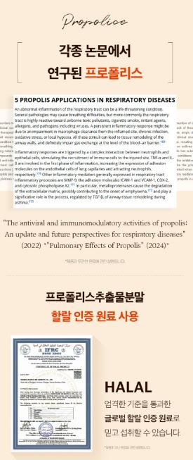 홍삼 프로폴리스 엘더베리 튼튼스틱 2g×30포