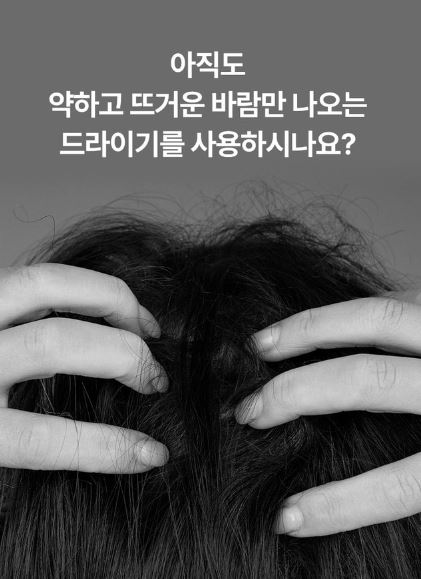 벤하임 BLDC 파워 드라이어 004DBK