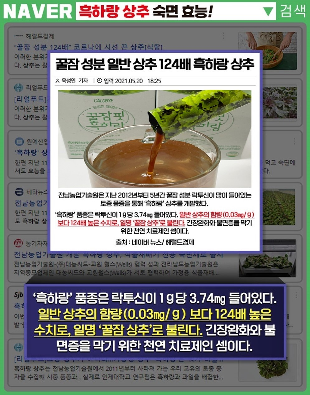 만성 불면증해결 꿀잠핏 흑하랑 10g * 14포