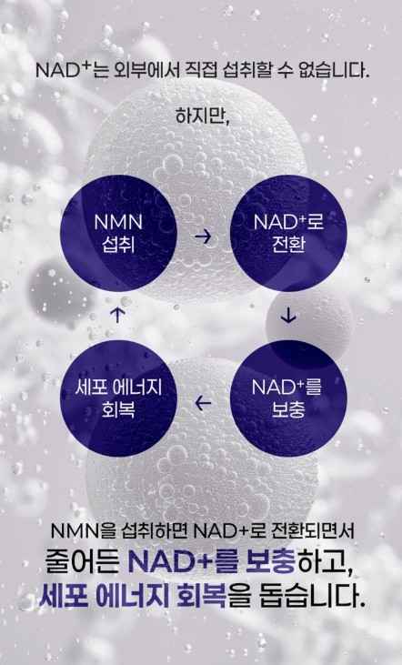 상품코드 : JYB005 예전같지 않다면, 쁘띠 엔엠엔C 이너뷰티 NMN 2gx10포