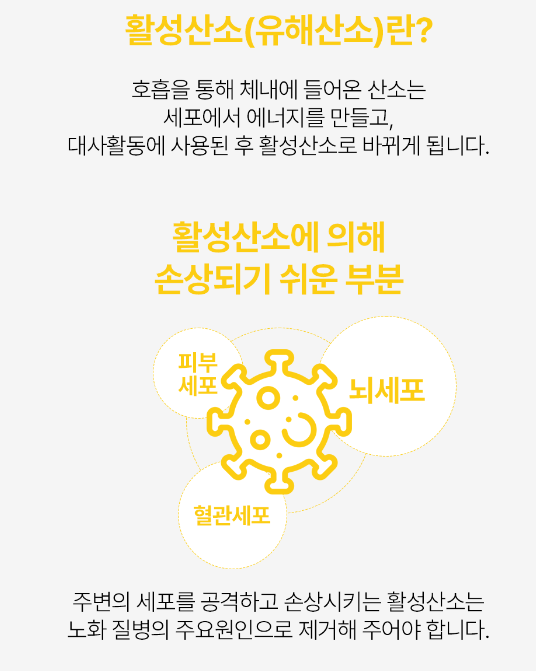 바지오 포켓 건강3종 (비타민C, 미네랄, 마그네슘 택1)