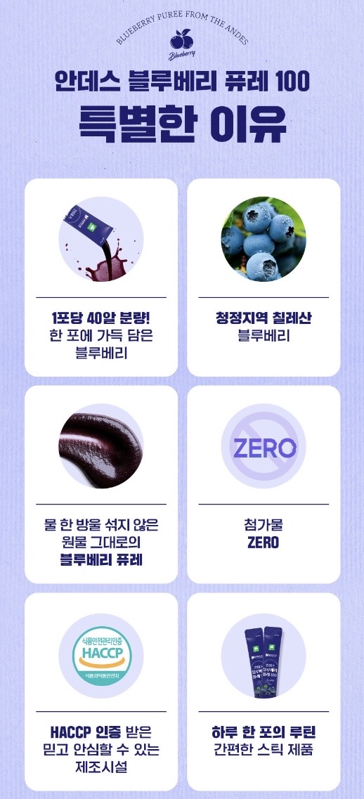 안데스 블루베리 퓨레100 20g 14포 1박스