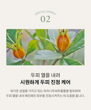 상품코드 : K628 어성초 40 약산성 딥 클렌징 두피케어 샴푸 (카톤발주용)