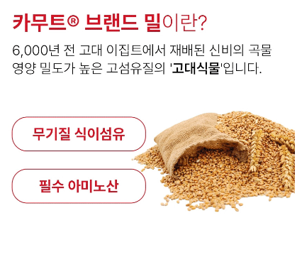 상품코드 : GLB0135 해표 카놀라유 2p (500ml)