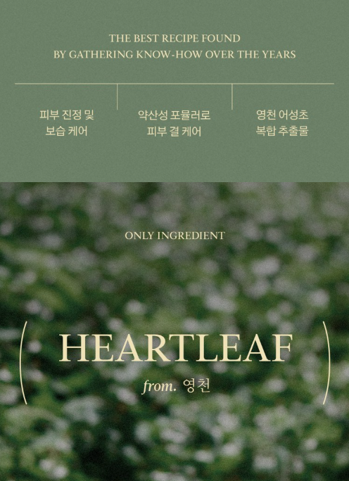 상품코드 : K629 어성초 40 약산성 모이스처 바디워시 (카톤발주용)