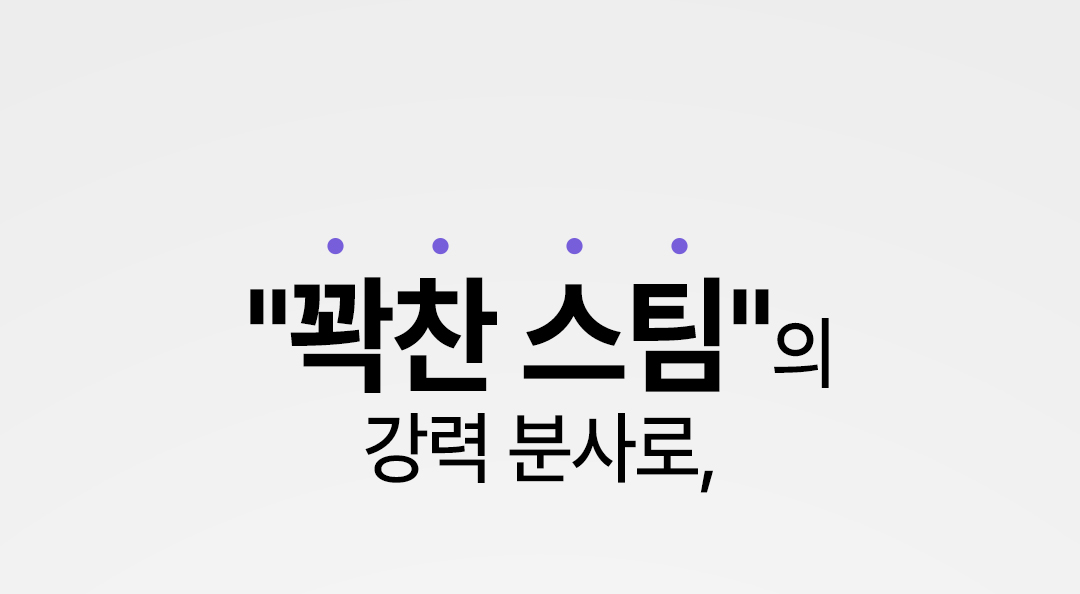 상품코드 : J221 뉴메이슨 청담187 스팀 스타일러 (G4)