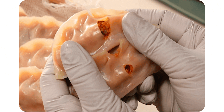 상품코드 : HAN004 속이 고기와 김치로 가득찬 매운 실비김치만두 525g
