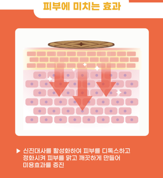 (파우치형) 통증타파 쾌유패치 동전형 120매