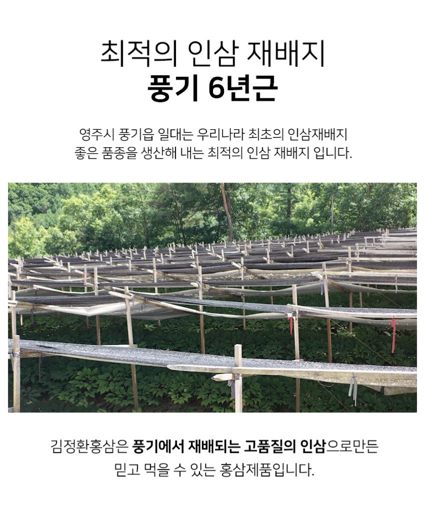 상품코드 : KJH007 김정환 과립형 6년근 홍삼차 60포 (쇼핑백포함)