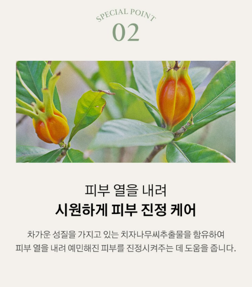 상품코드 : K629 어성초 40 약산성 모이스처 바디워시 (카톤발주용)