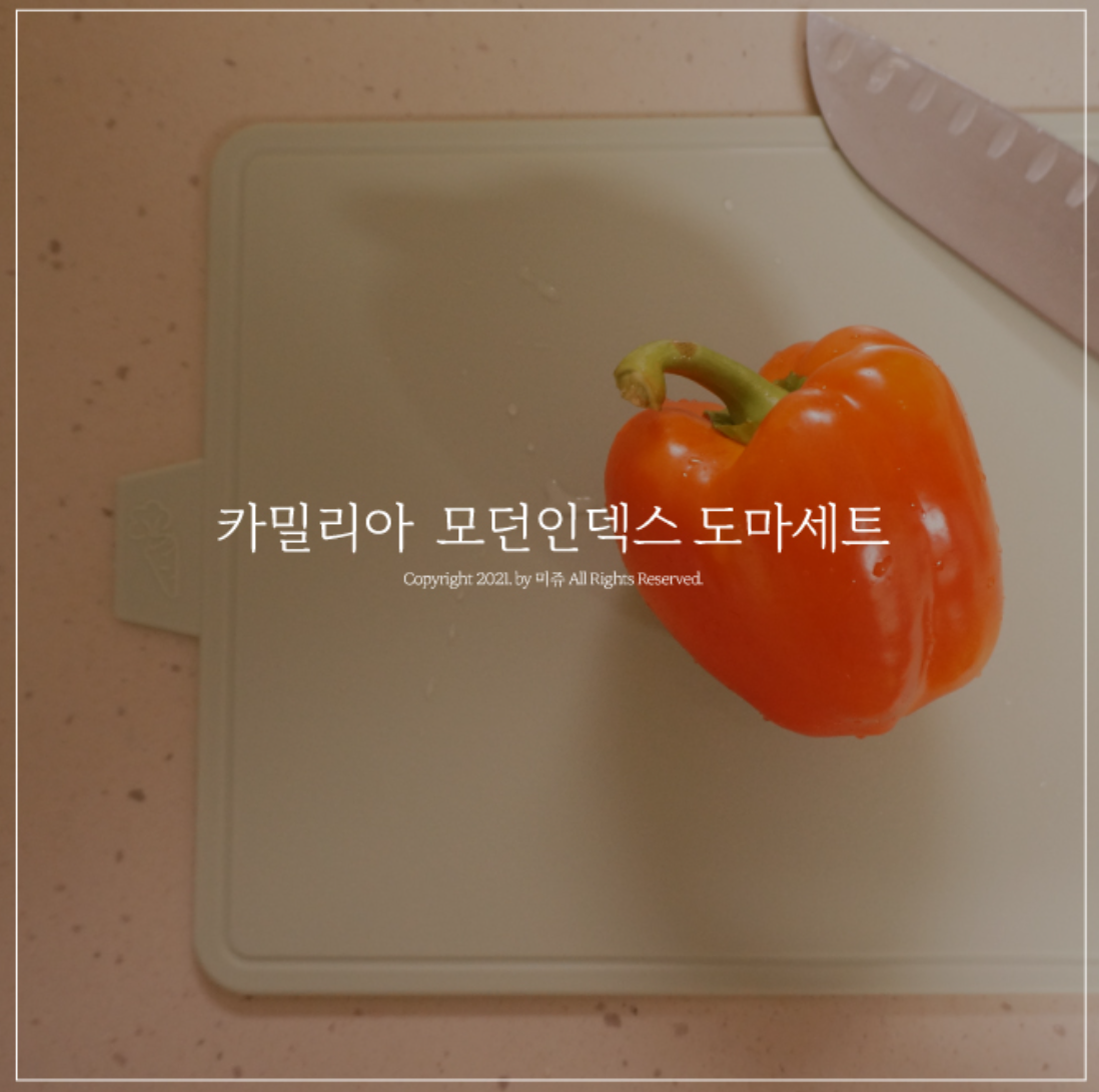 상품코드 : CNK014 카밀리아 모던인덱스 양면도마 3p세트(거치대포함)