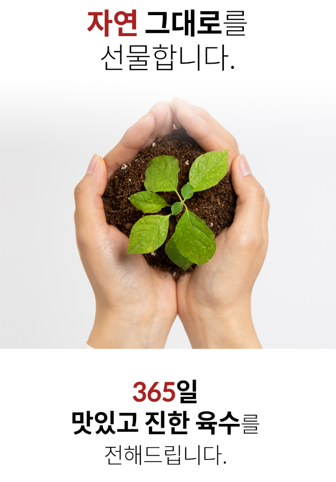 365동전육수 칼칼야채맛/진한대게맛 20정