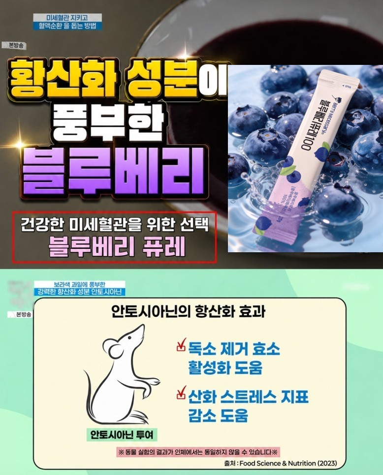 네세서리 블루베리퓨레 100 (20g*14포)