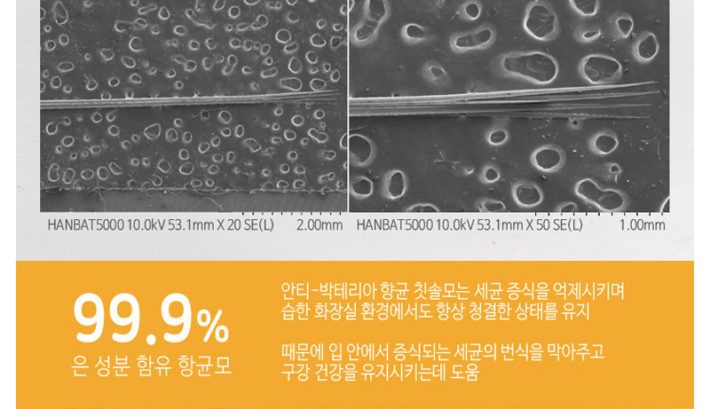 상품코드 : WC025 켄트 치약2개+여행용키트(치약2+칫솔)