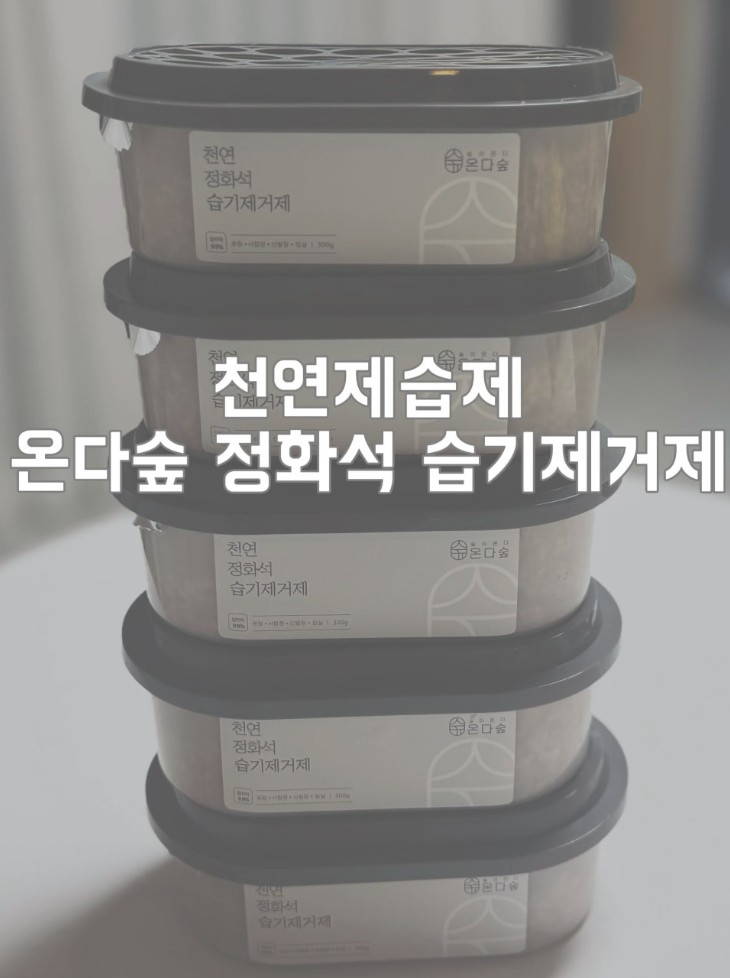 온다숲 국산100% 반영구 천연제습제 300g