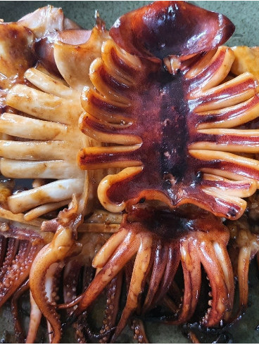 반건조오징어(피데기)