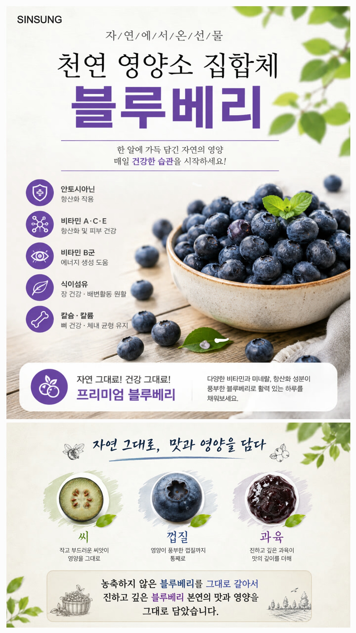 상품코드 : S281 더순수 프리미엄 블루베리 퓨레 100
