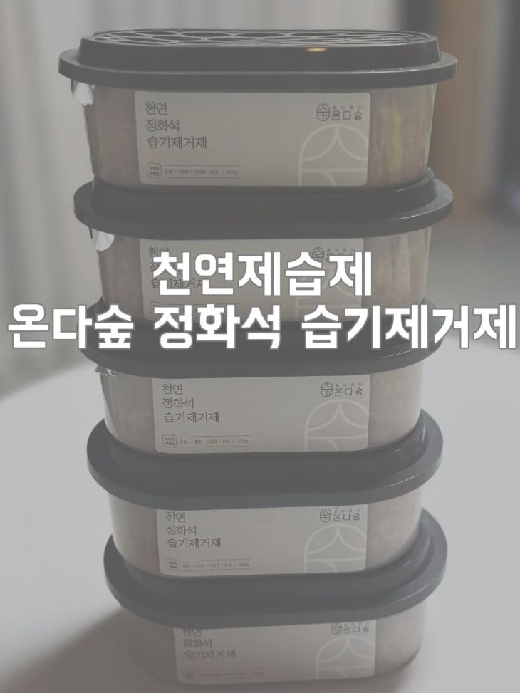 온다숲 국산100% 반영구 천연제습제 300g