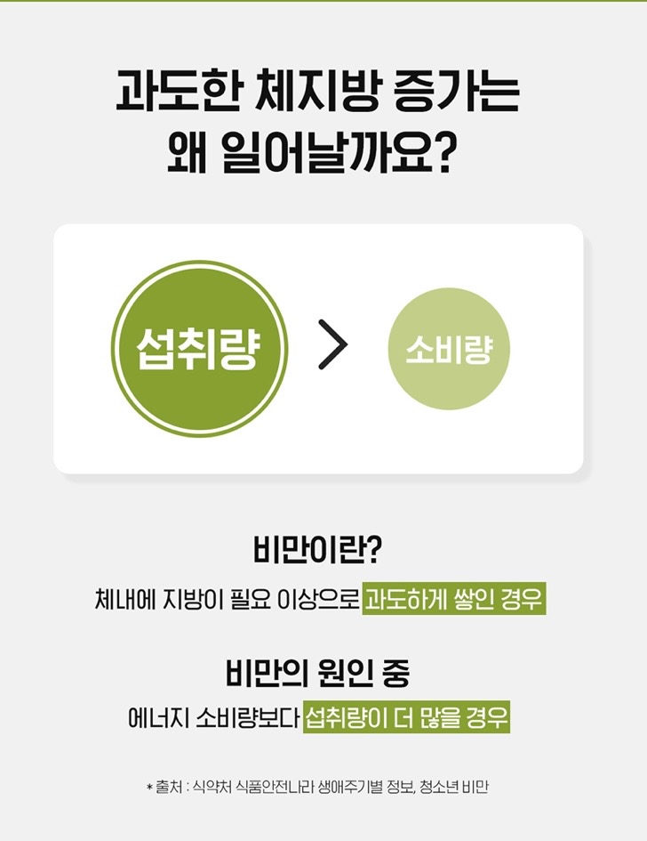 카테킨 정 플러스 1100mgX28정