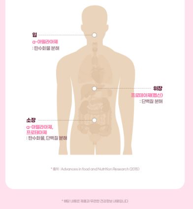 비욘드오리진 리얼골드 파로효소 3g 30포