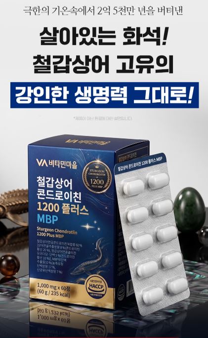 철갑상어 콘드로이친 1200 플러스 MBP 1,000mgX60정