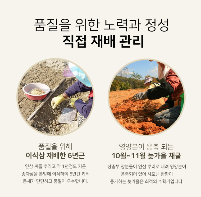상품코드 : KJH008 [김정환 홍삼] 홍삼으로 에너지타임 30포 (쇼핑백)