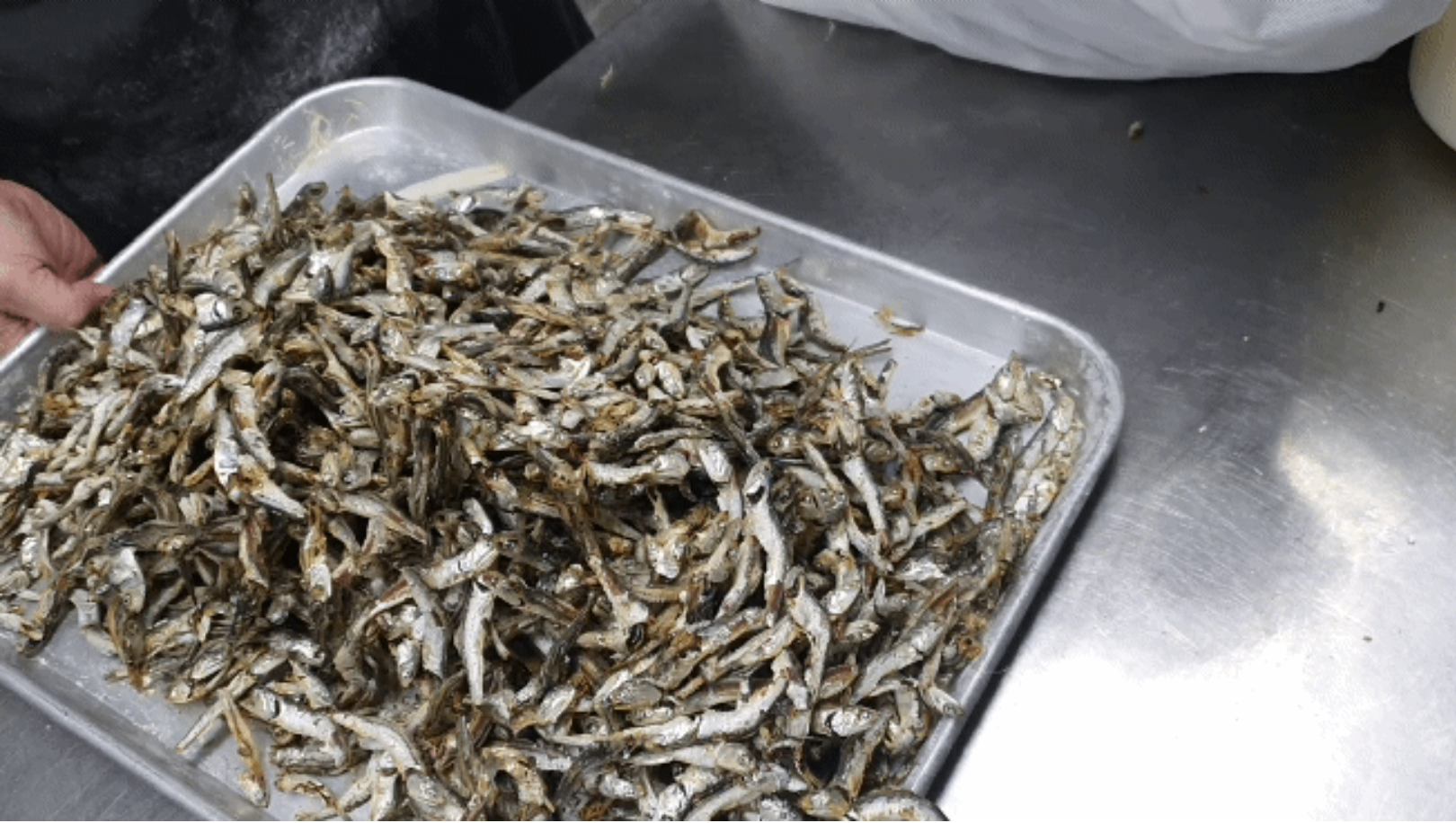 상품코드 : IC004 칼칼한 진한 국물 맛 일산칼국수 얼큰 수제비