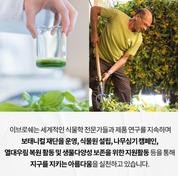 상품코드 : BP006 이브로쉐 퍼퓸 바디로션 390ml