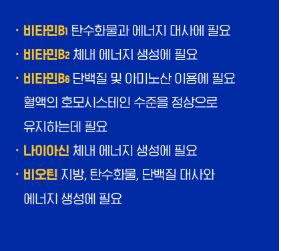 온가족 멀티비타민 꾸미젤리 키즈 앤 패밀리 1.9gX30젤리