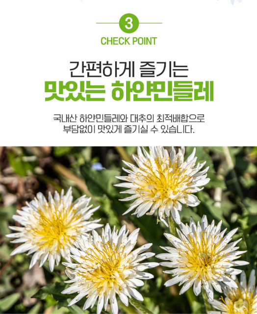 상품코드 : CND024 [참앤들] 국내산 맛있는 민들레즙 90mlx30포