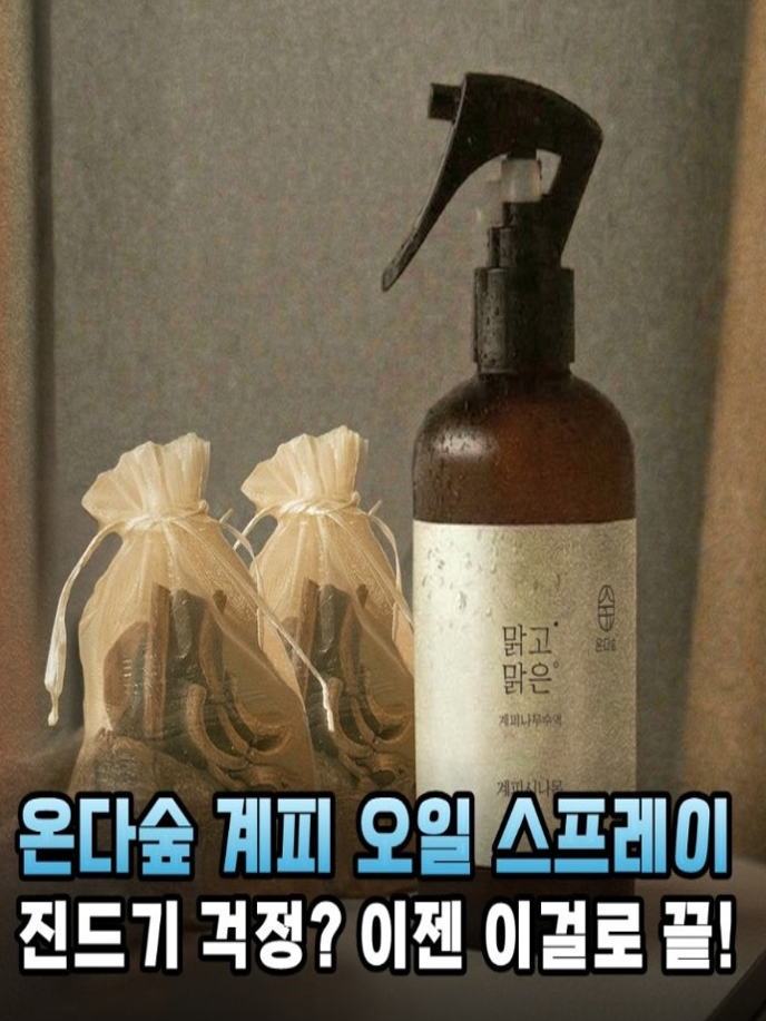 온다숲 계피스프레이 탈취제 250ml