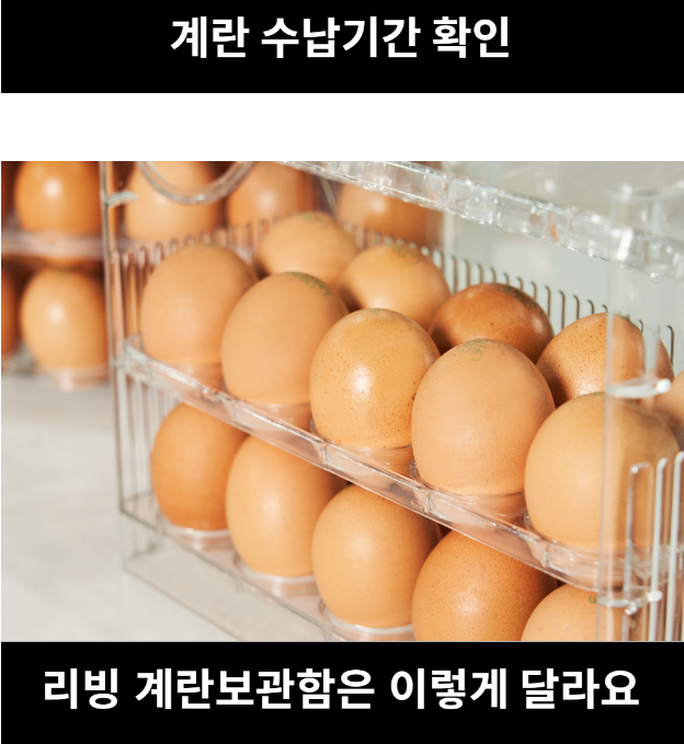 상품코드 : K0310 [아케이] 계란보관함