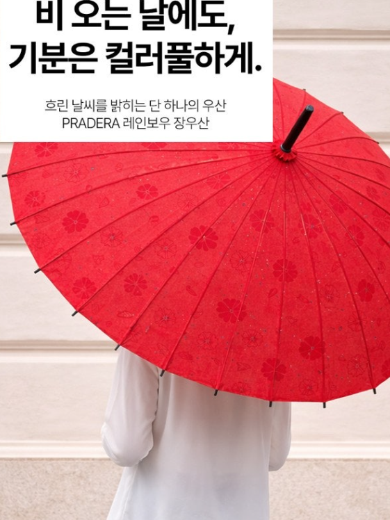 비오면 꽃이 피는 벚꽃 레인보우 고급 장우산