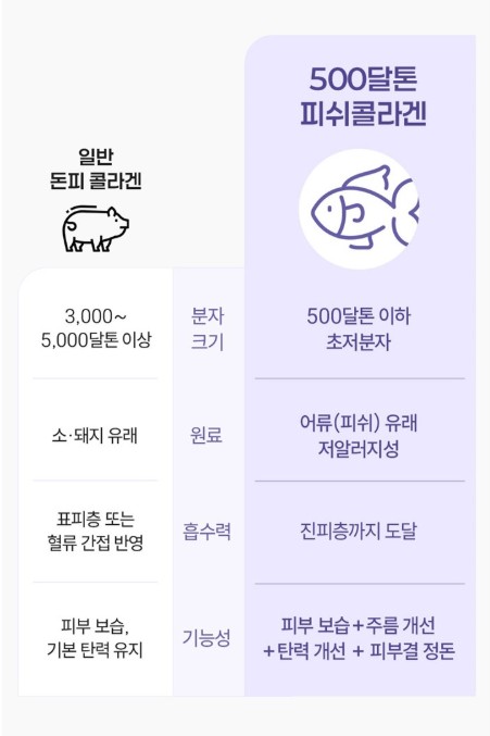 상품코드 : JYB005 예전같지 않다면, 쁘띠 엔엠엔C 이너뷰티 NMN 2gx10포