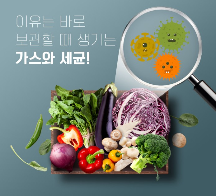 상품코드 : ASL003 저장혁명 신선보관 마법 롱롱그린백