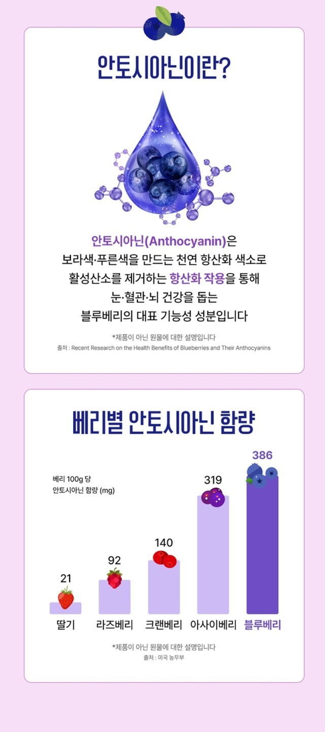 네세서리 블루베리퓨레 100 (20g*14포)
